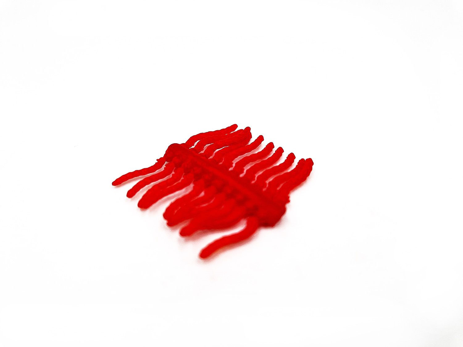 BLOODWORM LARVA - POP UP