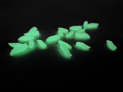 NEON GREEN GRUBS - POP UP