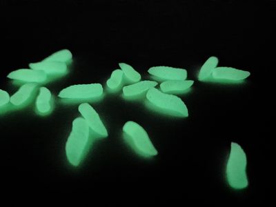 NEON GREEN GRUBS - POP UP