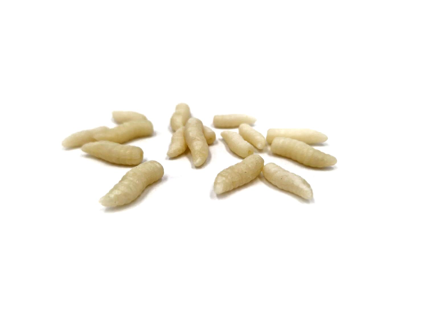 MAGGOT LARGE - POP UP