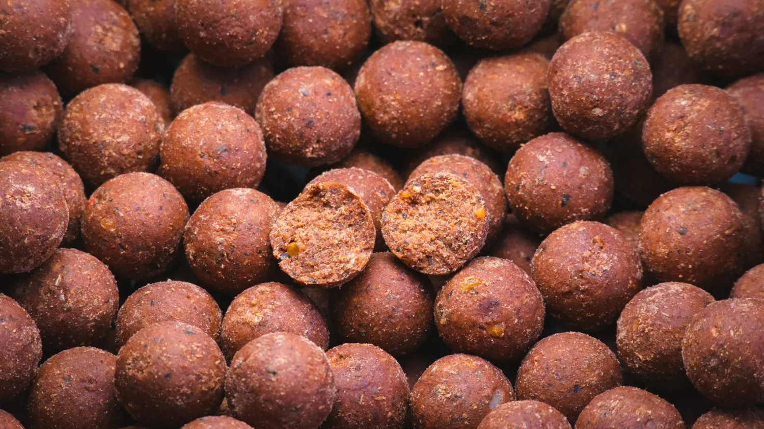 BOILES Energize