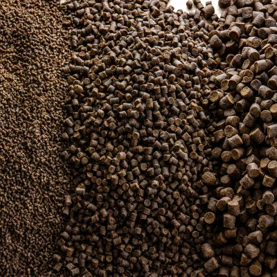 PELLET - Energize