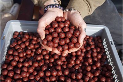 SOLUBLE BOILIES Big Fish Mix Salmon Caviar & Black Pepper 18mm SOLUBLE BOILIES Big Fish Mix Salmon Caviar & Black Pepper 18mm