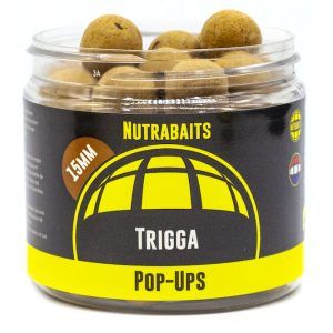 POP -UP - Trigga POP -UP - Trigga