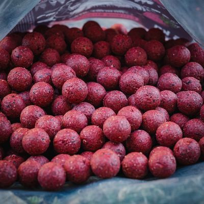 Extreme Strawberry 10 KG