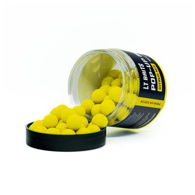 CITRUS POP UP - 40 GR