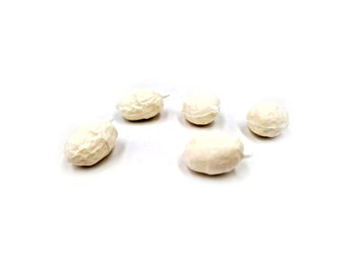 TIGER NUT FLUO WHITE - POP UP