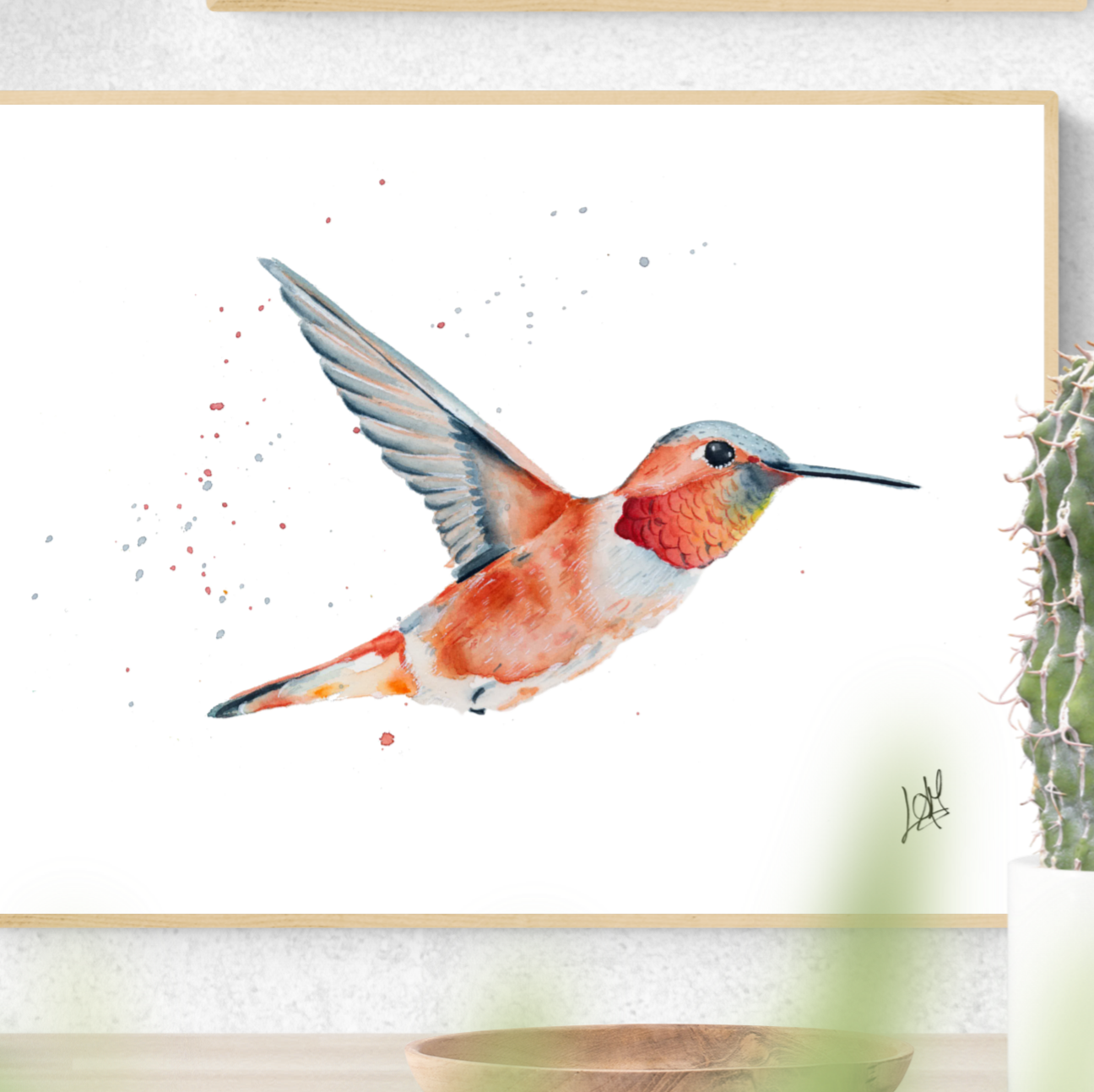 Colibrí Rufo