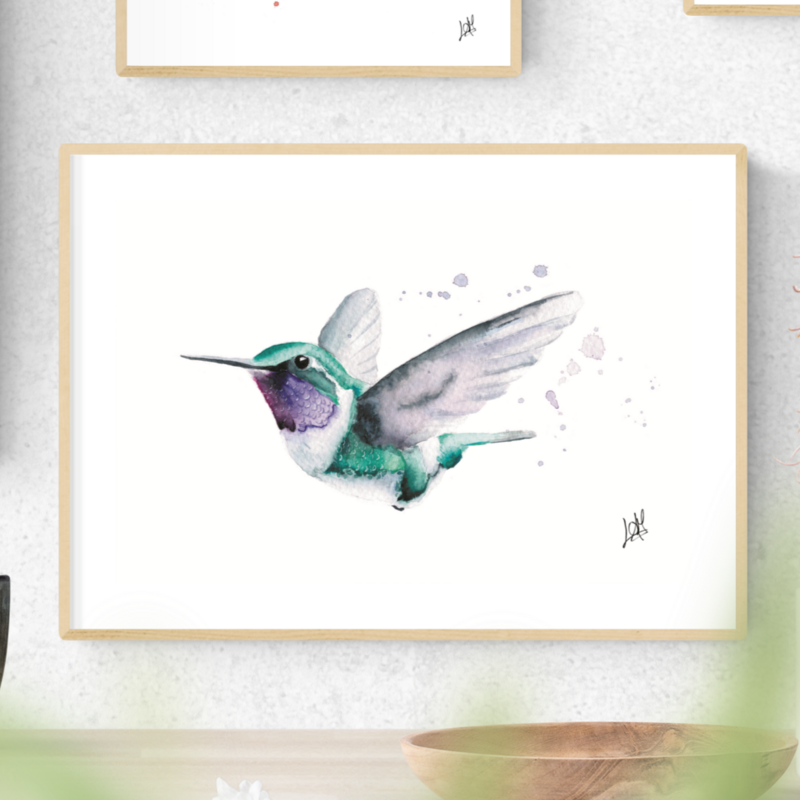 Colibrí Rumbito
