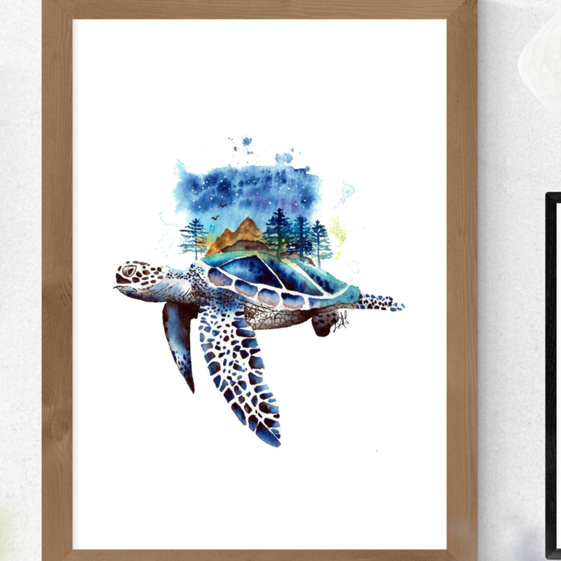 Tortuga Akupara