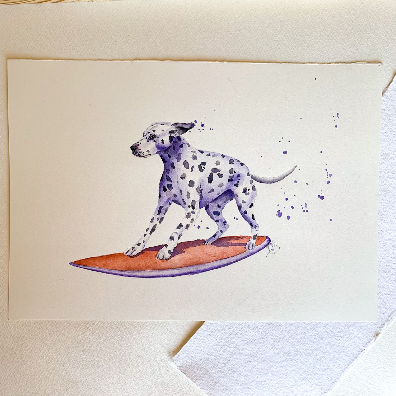Dálmata Surfer