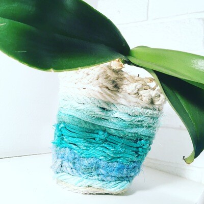 S.O.S.-Pot. Orchid. 
&#39; ABDI BABA 1&#39;