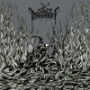Sidus Tenebrarum born from the dark rib CD