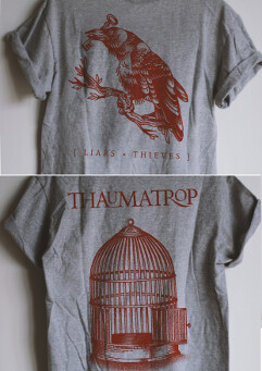 Liars & Thieves - Thaumatrop T-Shirt