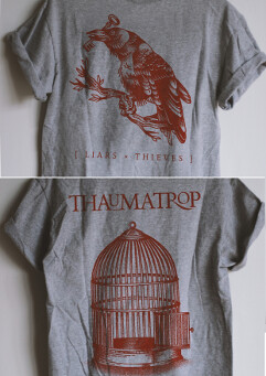 Liars &amp; Thieves - Thaumatrop T-Shirt