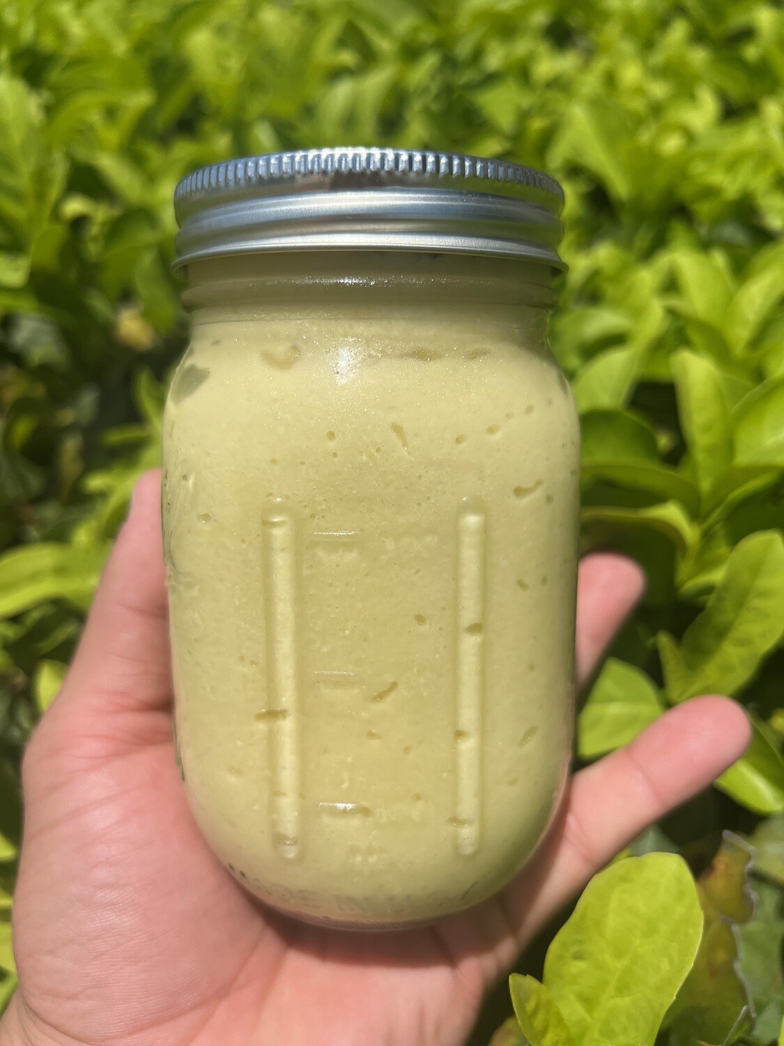 Ajo Del patio 16oz