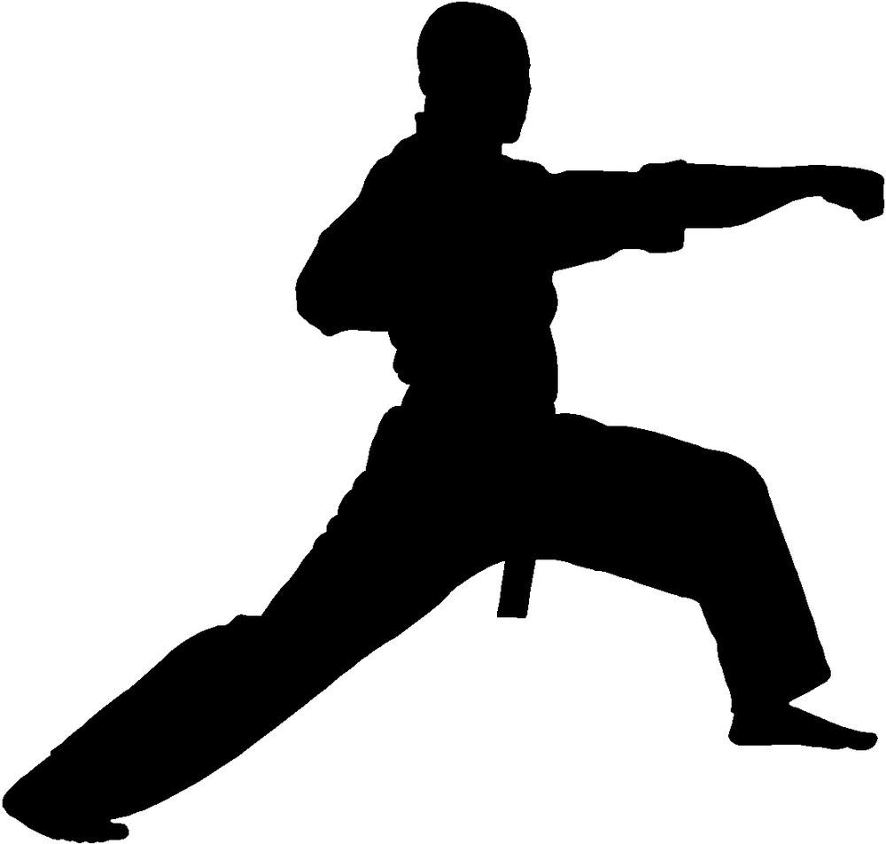 Karate-Adult Adult karate