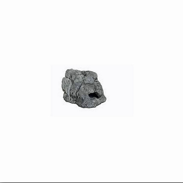 AST24G