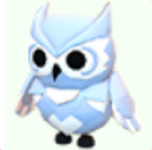 Ride Snow Owl