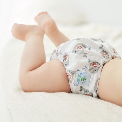 AI2 &amp; SIO Windeln