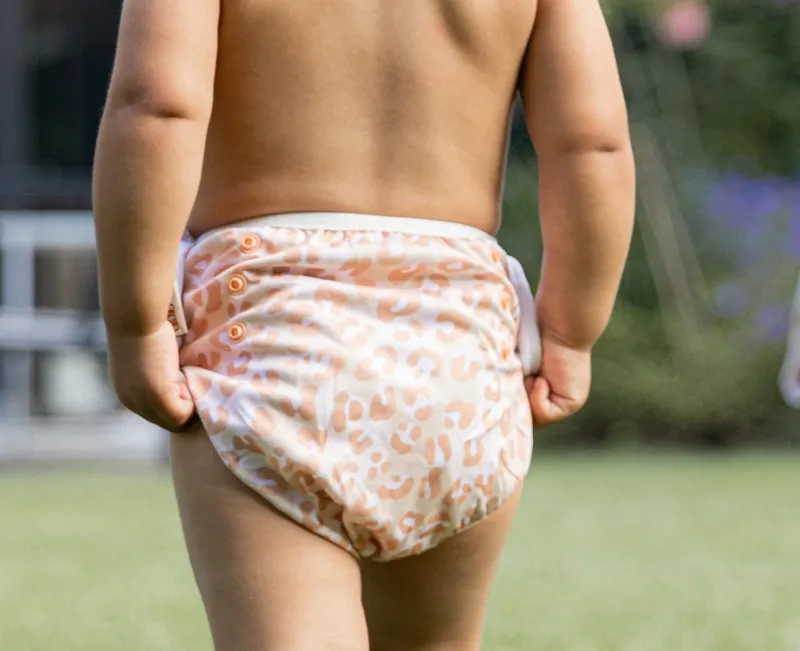 Happy Bear waschbare Schwimmwindel SideSnap