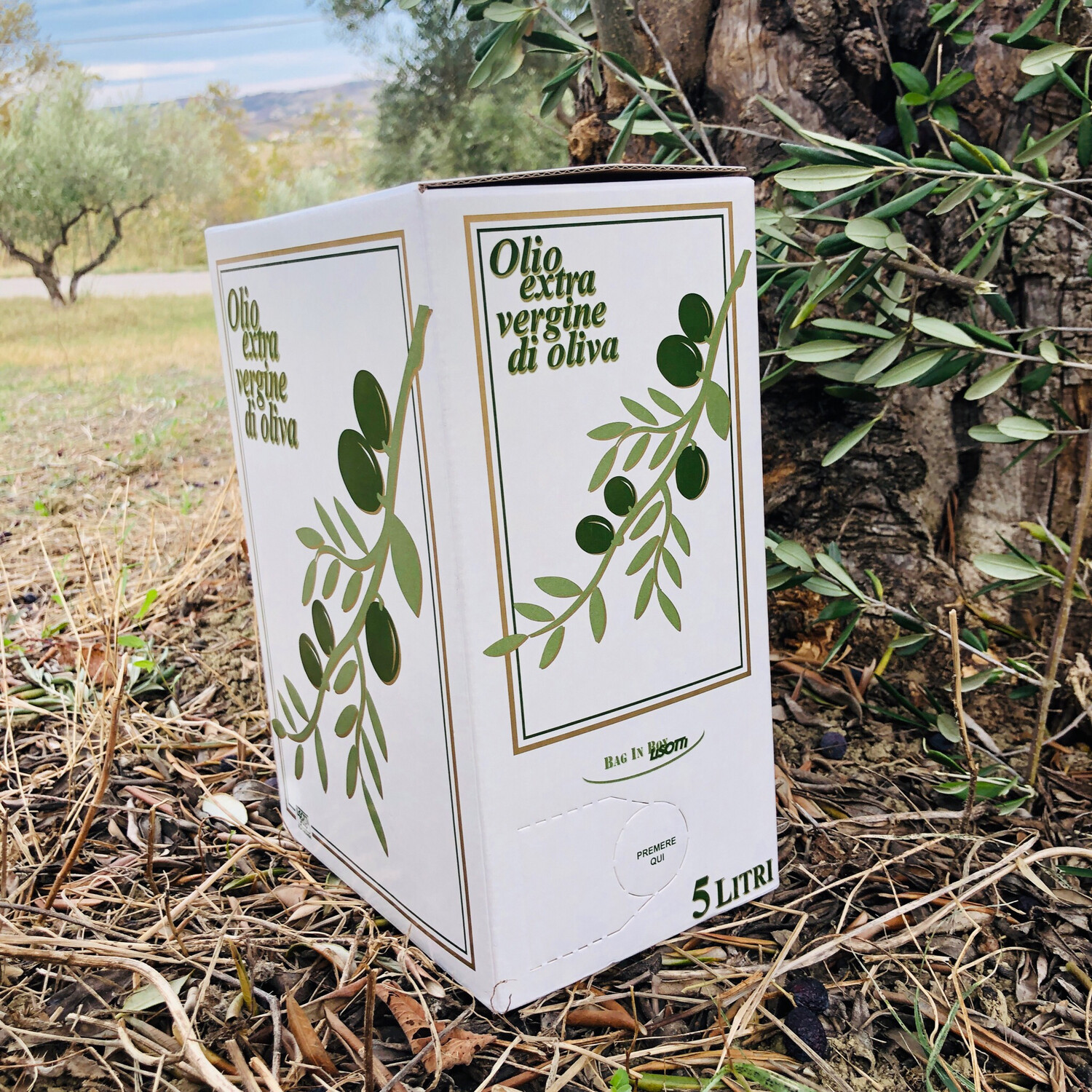 Olivenöl pur in 5 Liter-Kanister