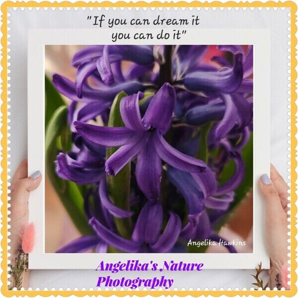 Angelika's Nature Photography