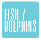 Fish / Dolphins
