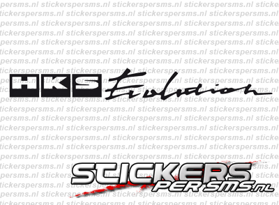 HKS Evolution