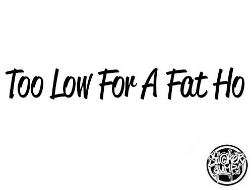 Window Streamer - Too Low For A Fat Ho'
