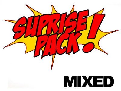 Surprise Pack - Mixed (no specific car brand/style)