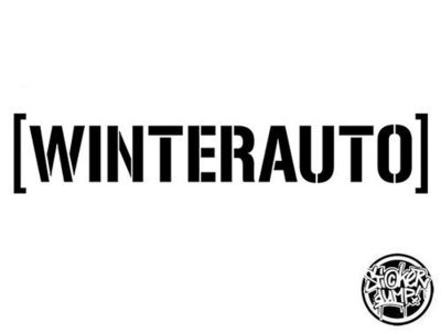 Window Streamer - Winterauto