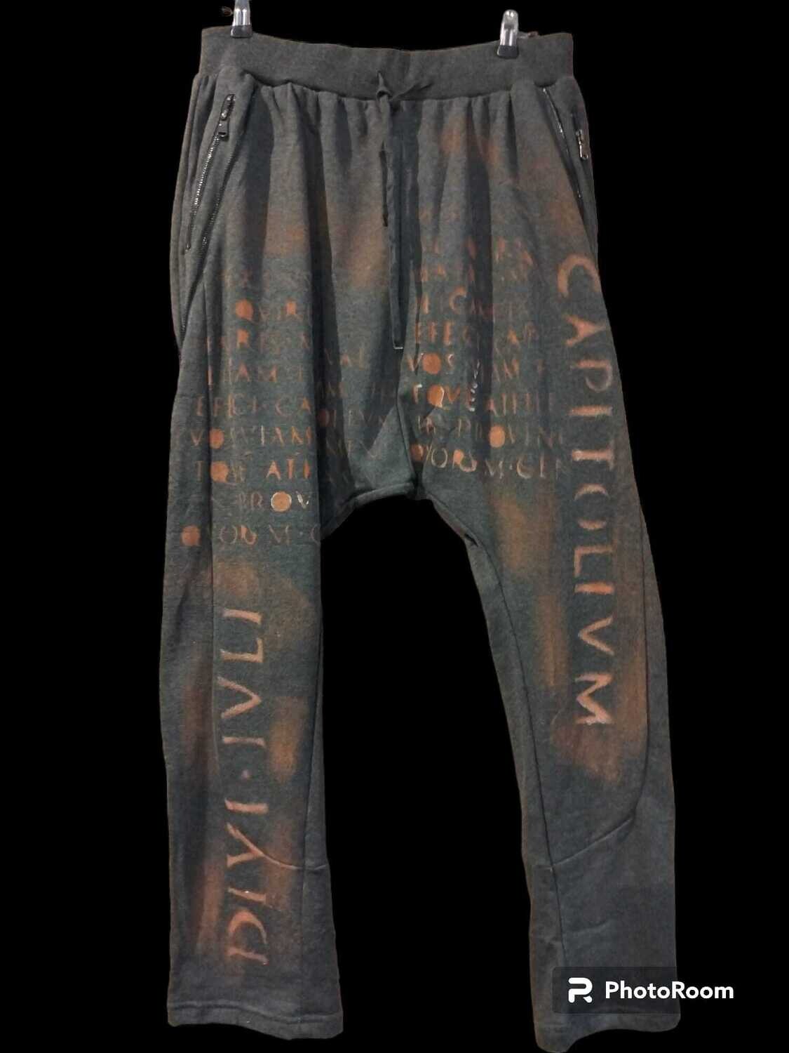 Pantalón chandal, talla XXL, gris, cremalleras bolsillos, letras.