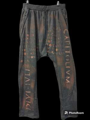 Pantalón chandal, talla XXL, gris, cremalleras bolsillos, letras.
