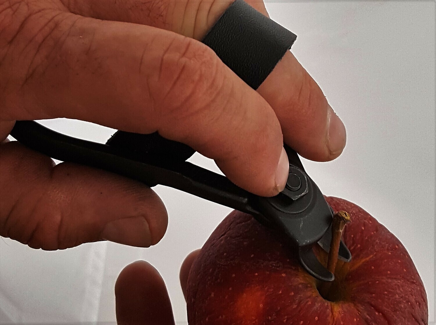 FC-200 Hickok Apple Stem Clipper with Leather Strap