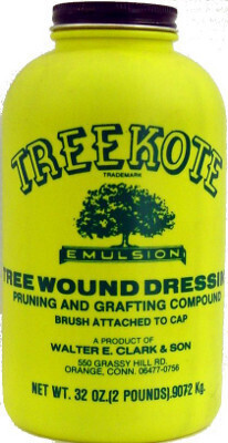 Treekote Tree Wound Dressing - 1 Quart With Brush