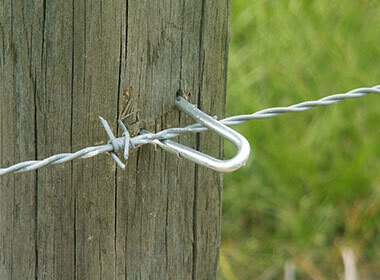 2" Galvanized Barbed Staples