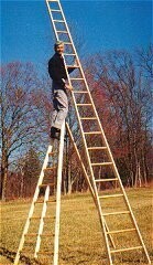 Baldwin 12' Wooded Pointed Top Orchard Ladder