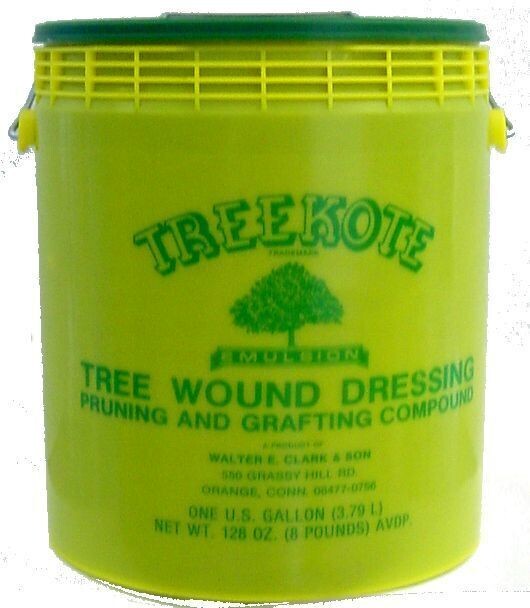 Treekote Tree Wound Dressing - 1 Gallon