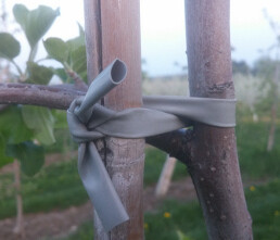 Gray Tube Tie - 7 mm