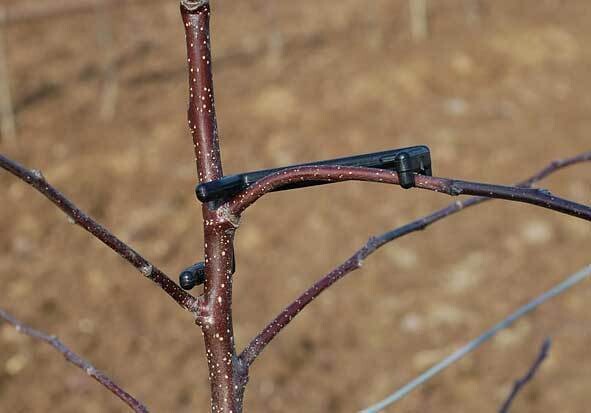 Black Plastic Branch Clip Spreader