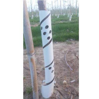 24" Tree Guard
