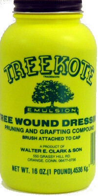 Treekote Tree Wound Dressing - 1 Pint With Brush