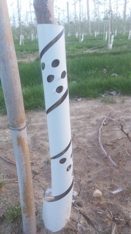 30" Tree Guard