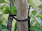 Tube Tie - 6 mm Diameter