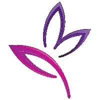 Carelle Creations