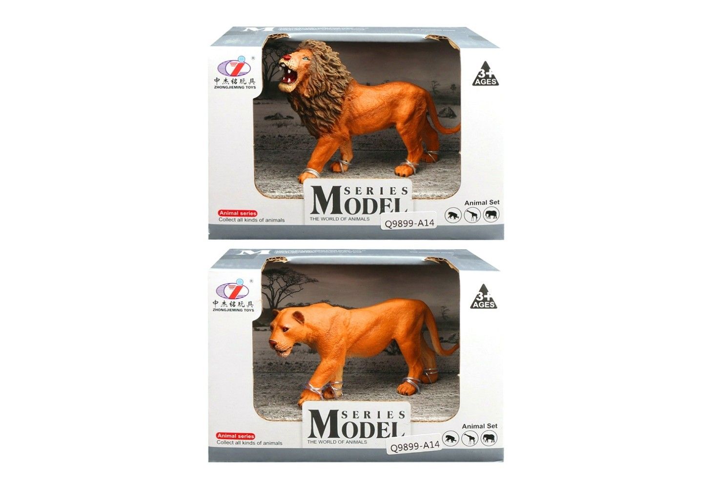 IDT017132 LION/LIONESS 2 ASTD