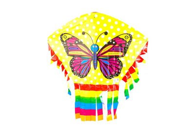MULTICOLOURFUL BUTTERFLY KITE IN BAG