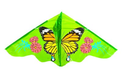 GREEN BUTTERFLY & FLOWERS KITE IN BAG