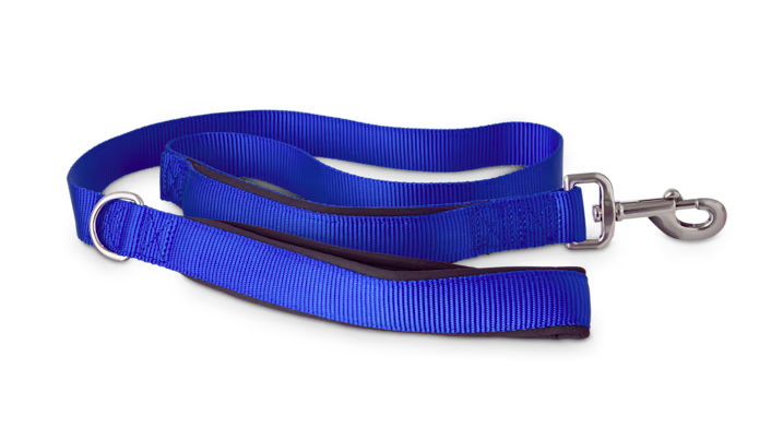 Good2Go Blue 2-in-1 Dog Leash, 4 ft.